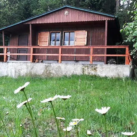 Chata - Na Samote U Lesa Levin  Exterior photo