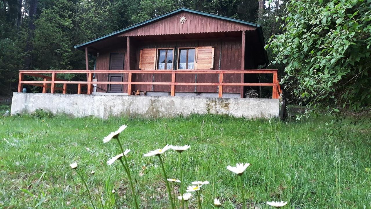 Holiday home - Na Samote U Lesa *