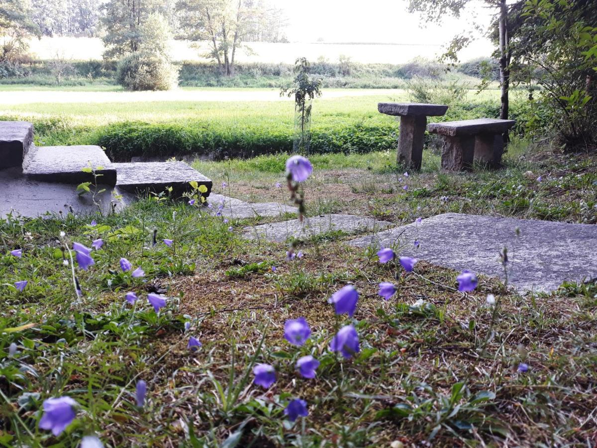 - Na Samote U Lesa Holiday home Levin (Ceske Budejovice)