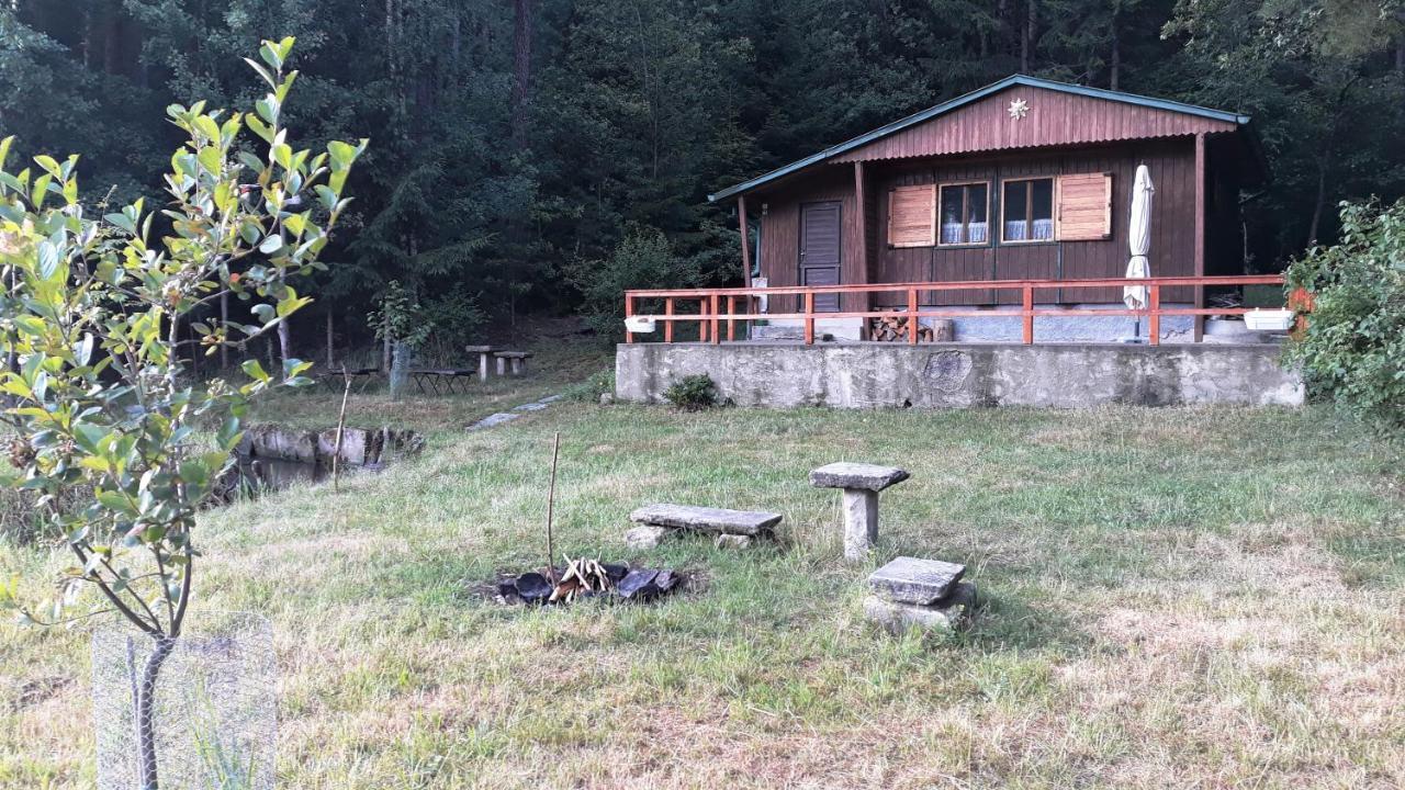 Holiday home - Na Samote U Lesa *